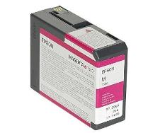 Epson T580A00 -2 Ink Picture for website.JPG